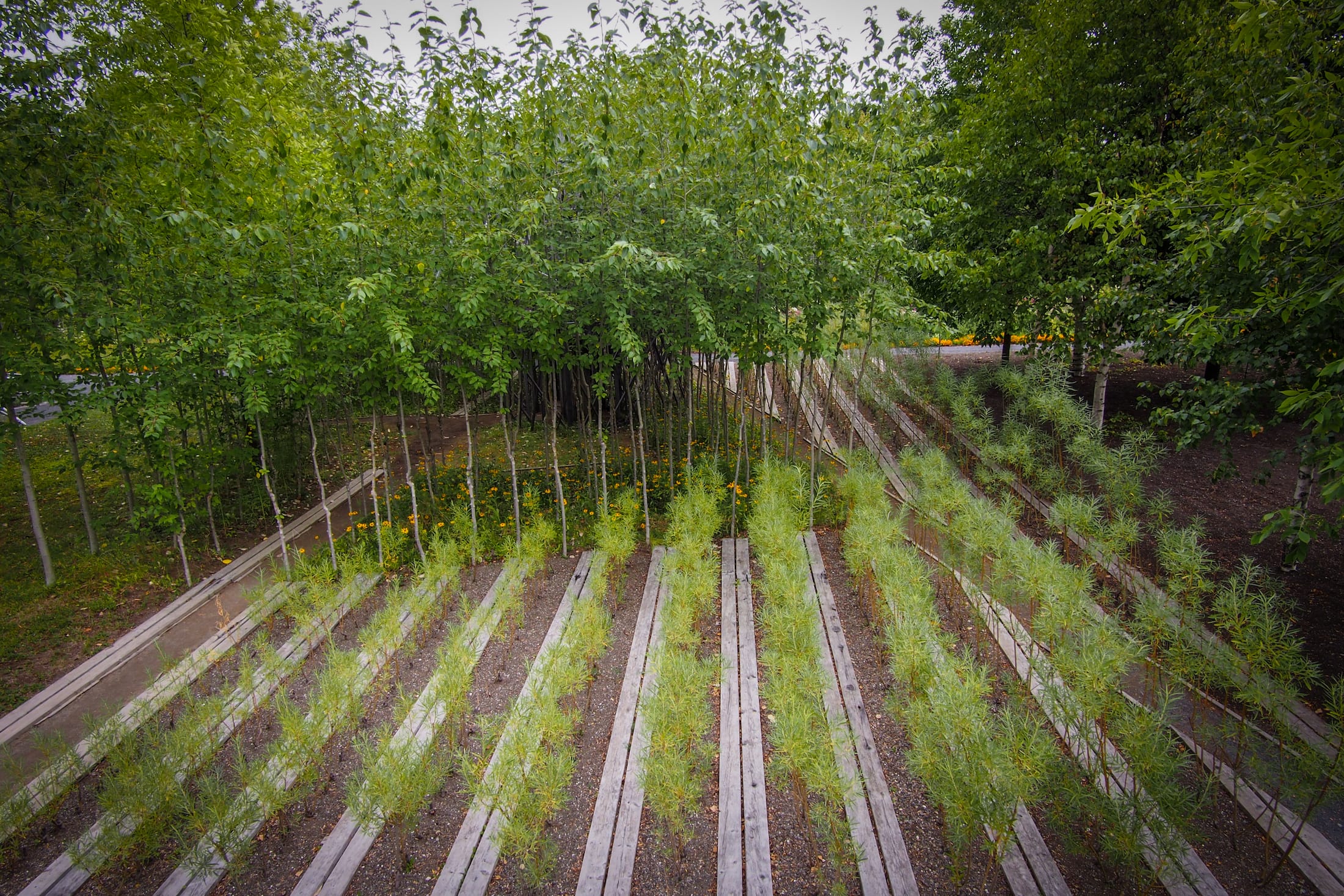 2019加拿大国际花园节(第二部分),Reford Gardens-101