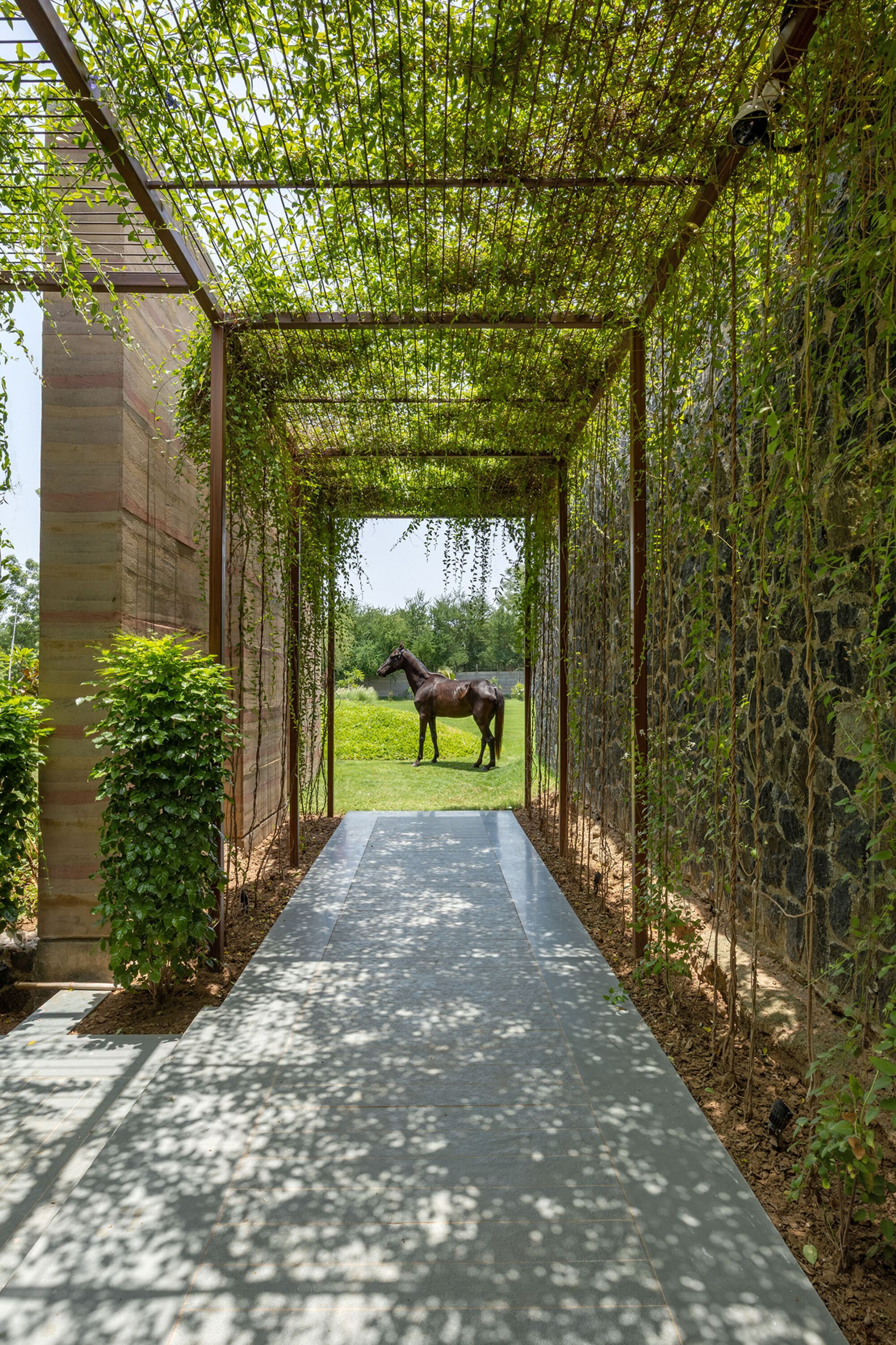 丨印度丨MS DESIGN STUDIO-29