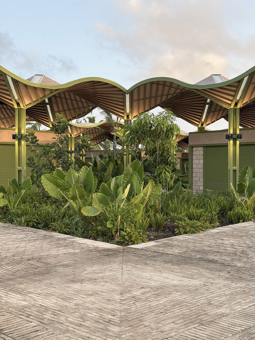 Mercado手工艺品集市,墨西哥 / AIDIA STUDIO-34