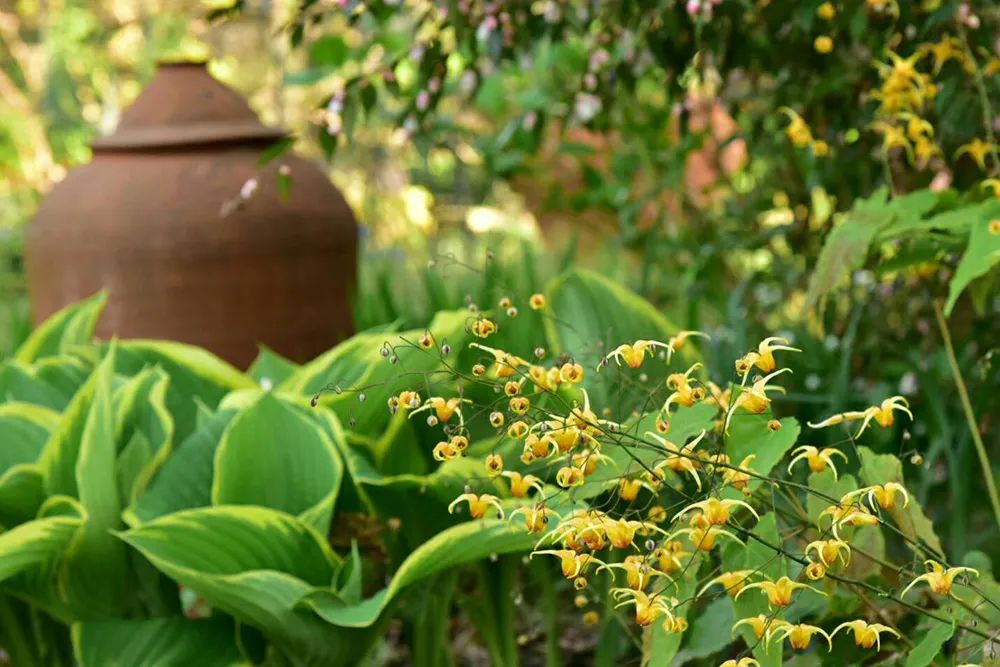 25年前的自制老花园，原来还可以这么美-32