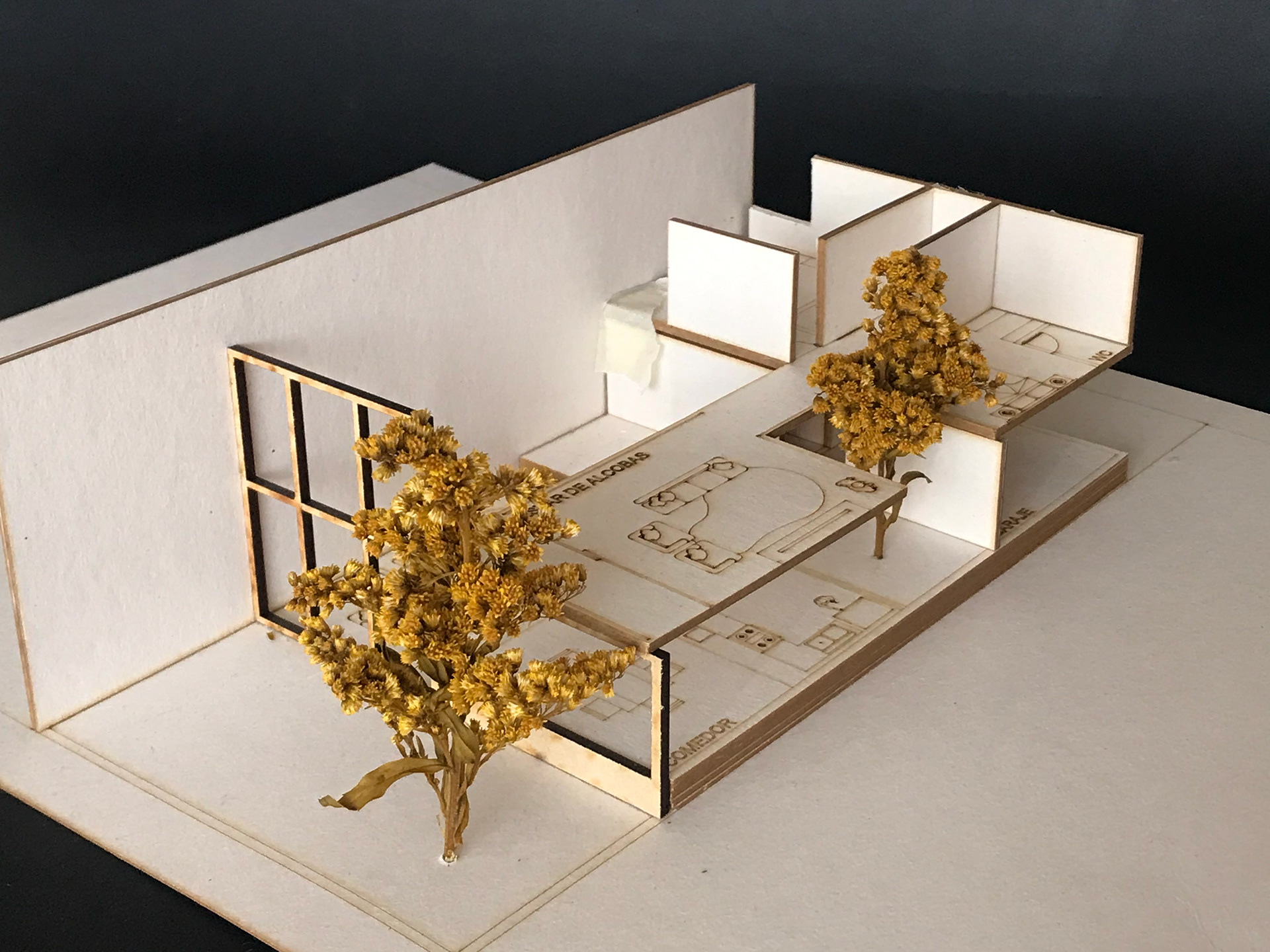 垂直住宅丨CF_Proyecto Habitar-6