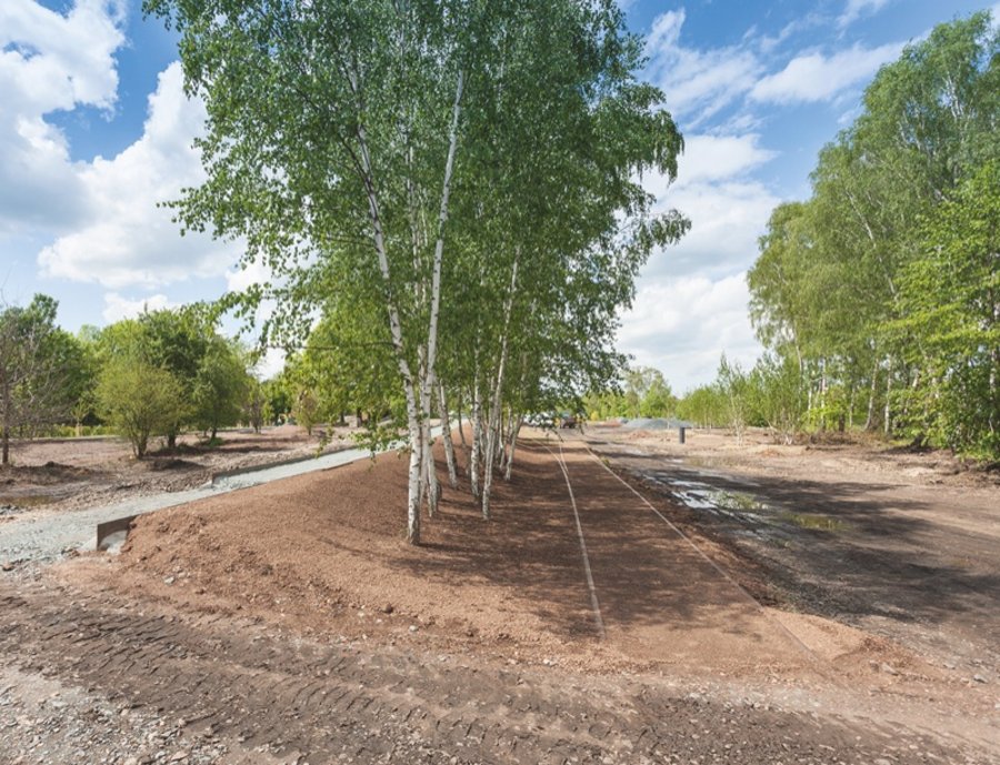 第7届萨克森州园艺展奥尔斯尼茨市民与家庭公园丨德国-10