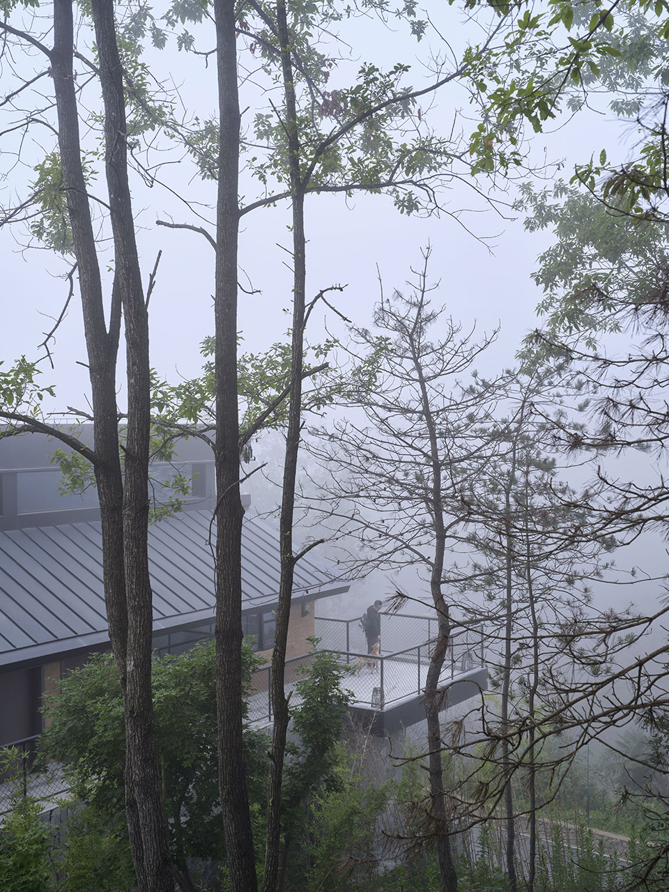 陕西汉中欢喜山森林生活公园丨中国汉中丨为至工作室-80