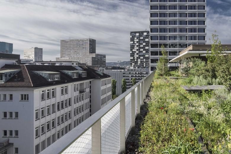 苏黎世大气压丨瑞士苏黎世-6