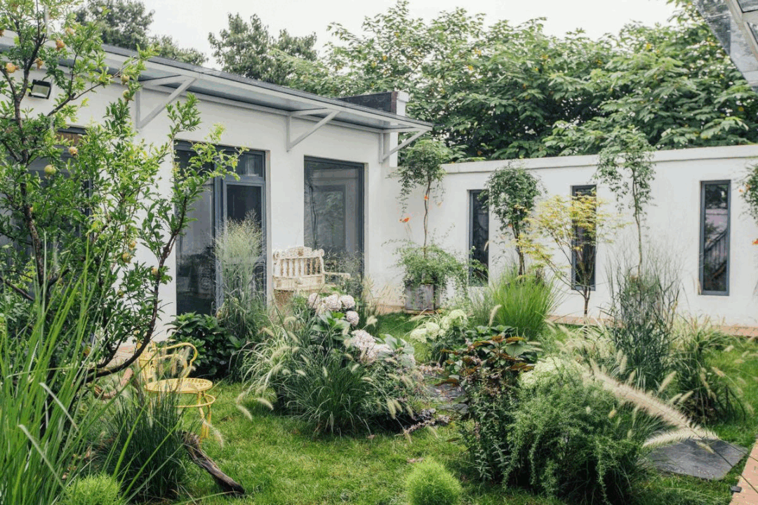 树林中的神仙小院 · 摄影师夫妻 10 万元爆改租住房丨中国北京-80