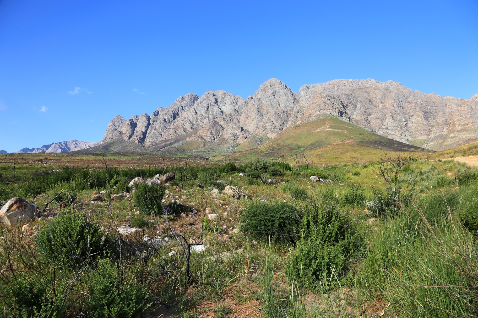 Bosjes Chapel / Steyn Studio-36