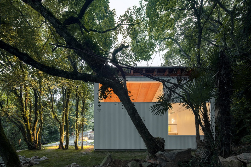 山林间的蝶翼建筑 · 定海台房丨中国舟山丨久舍营造工作室-38