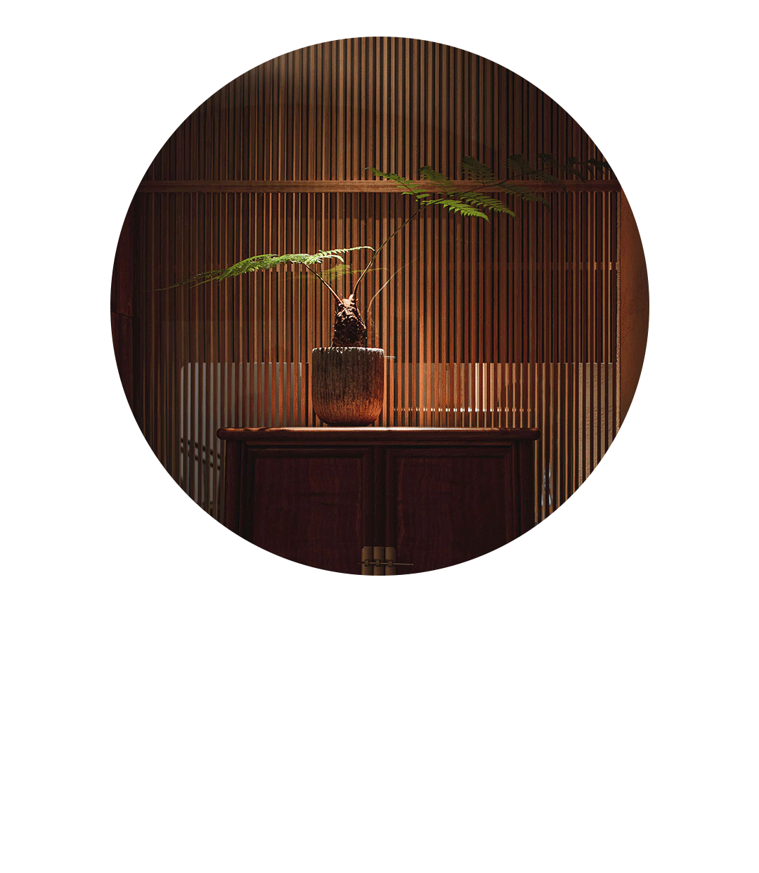 雨林古树茶茶室丨中国台州丨JWD 王韦航室内设计-12