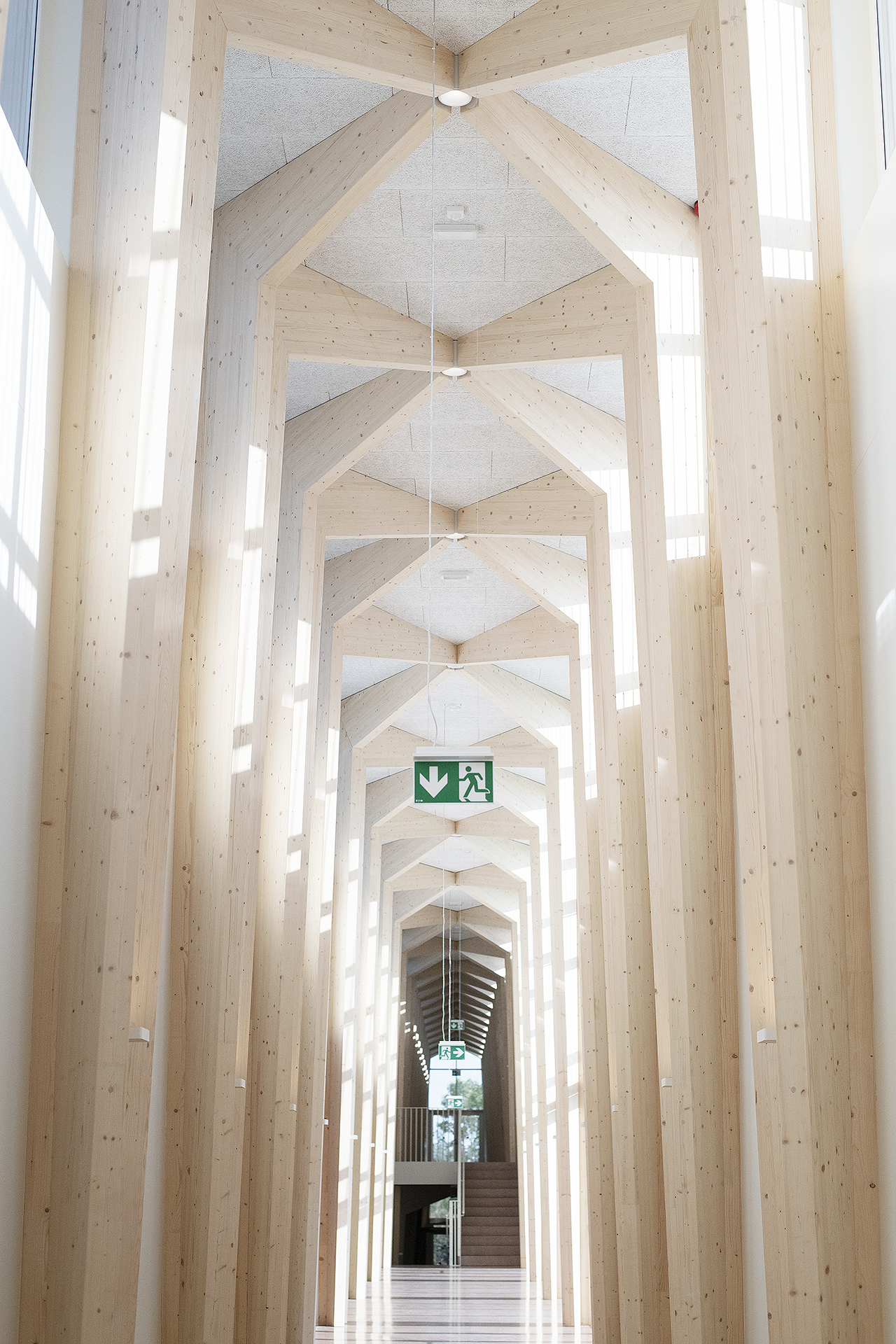 塔比韦雷基础学校丨Arhitekt Must-31