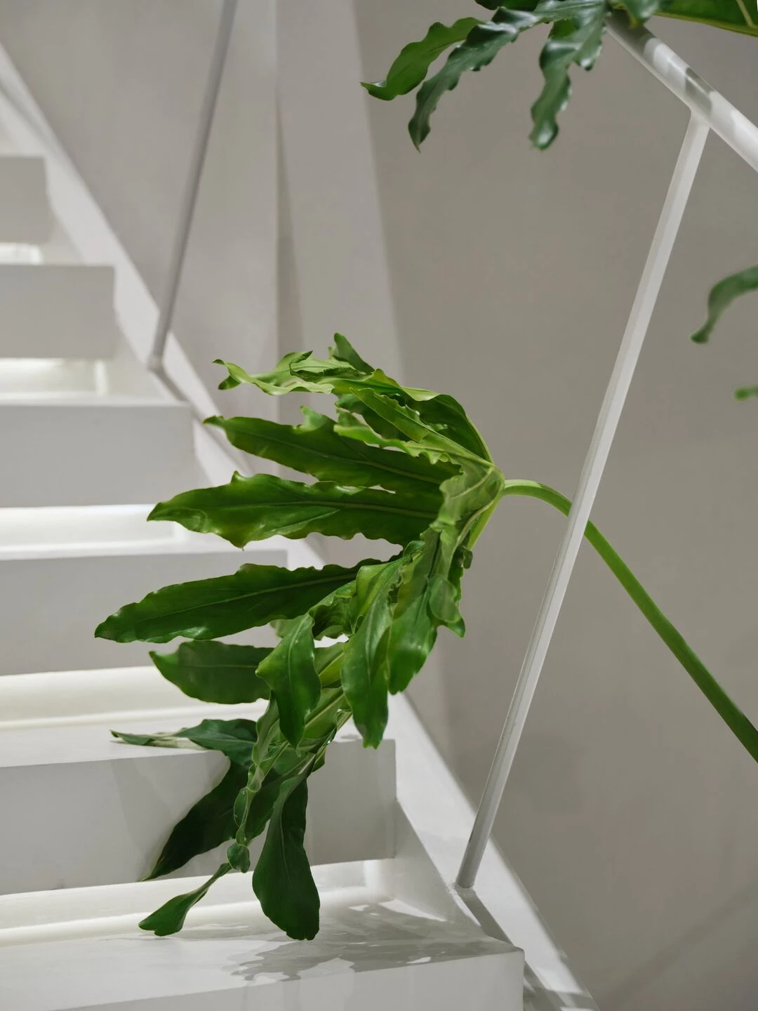 ALL IN Highline Brand Collection Store-73