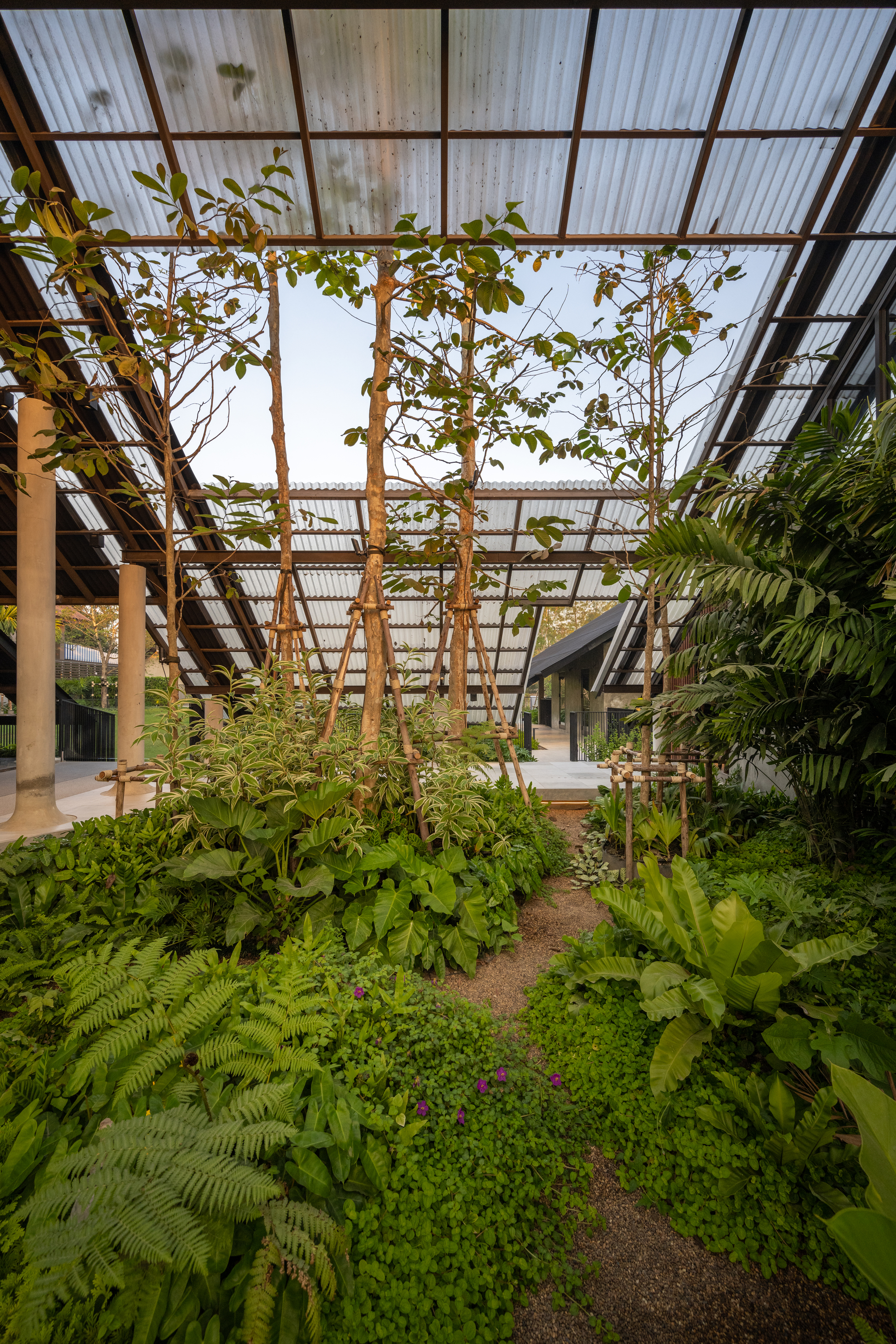 Dog,Human House,EKAR丨泰国佛统-31