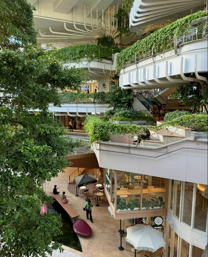 UDO商业分析篇|重构人、空间与消费行为的关系！“自然系“商业空间设计的核心逻辑-22