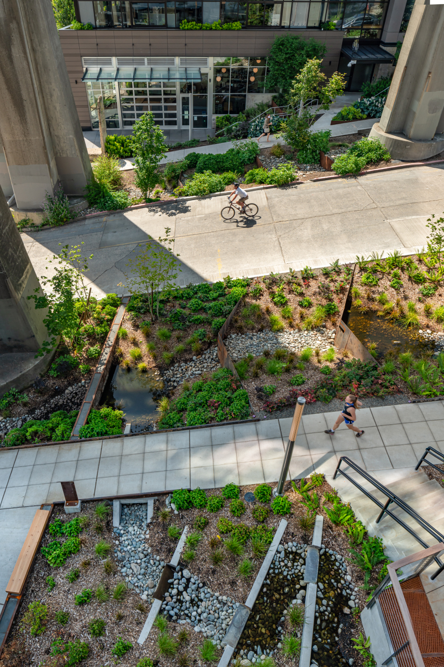 Watershed · 环保先锋的商业办公室设计丨美国西雅图丨Weber Thompson-34