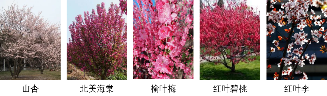 西宁万科城的美好生活场景，城市绿洲为西宁而定制 | 西宁·万科城一期-144