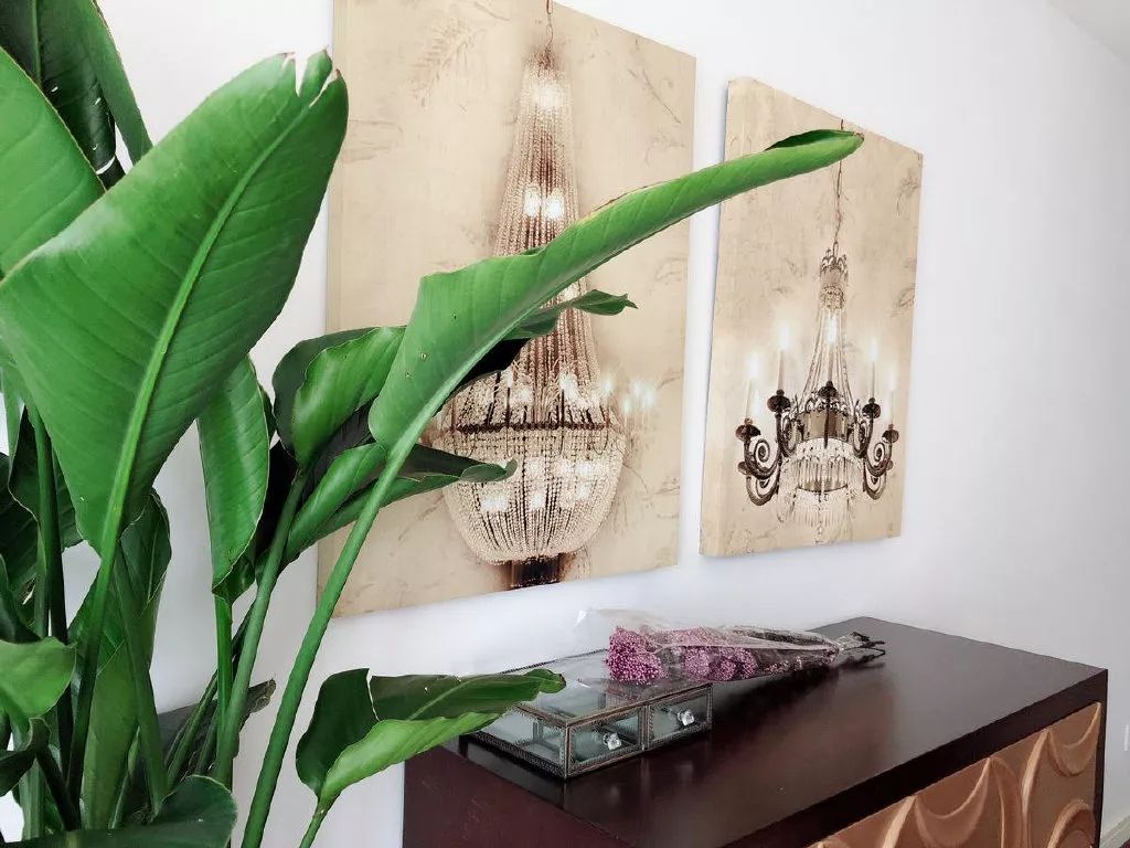 融合优雅与活力的温馨空间-6