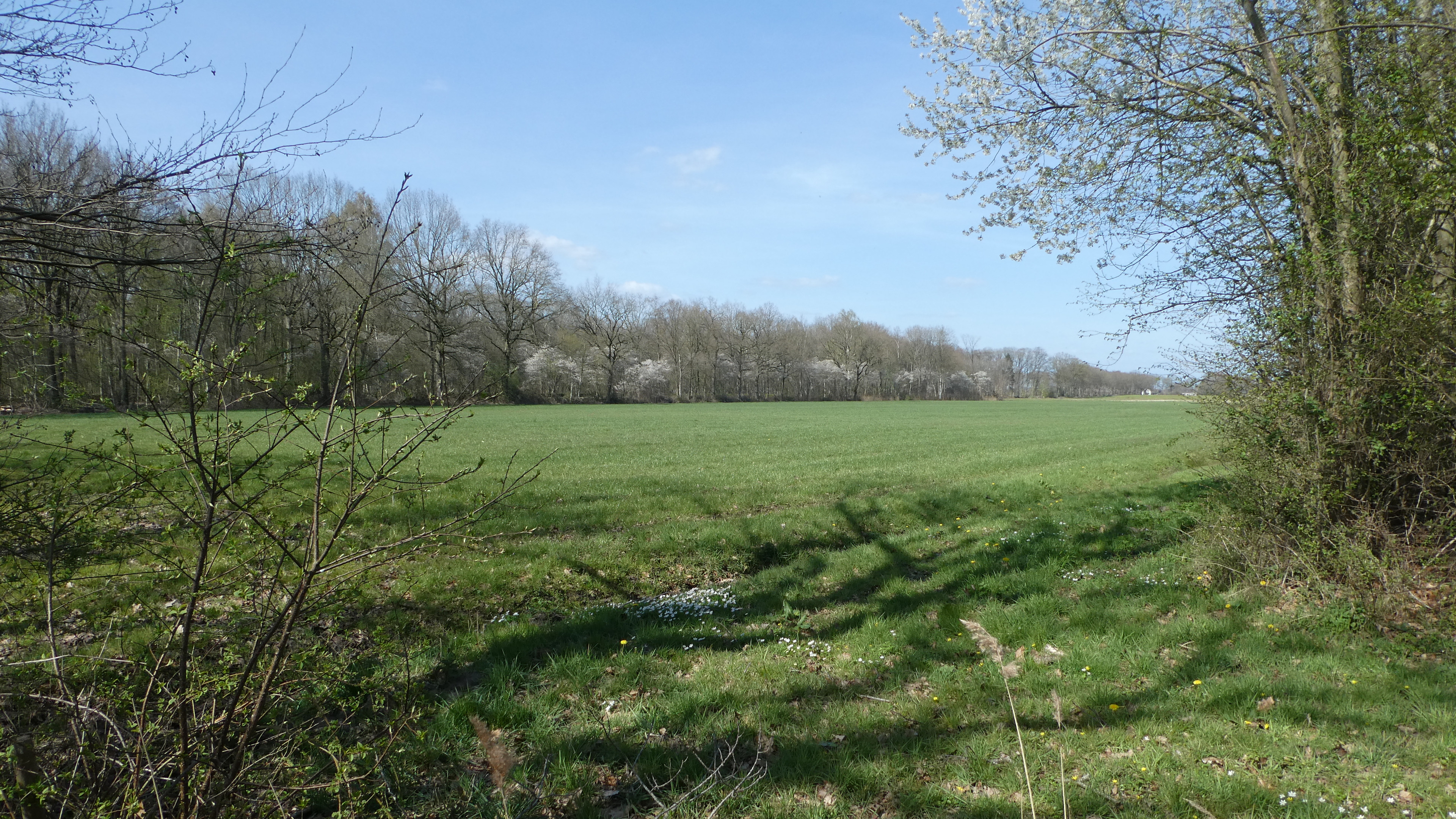 Solar park visualizations - photomontages-3