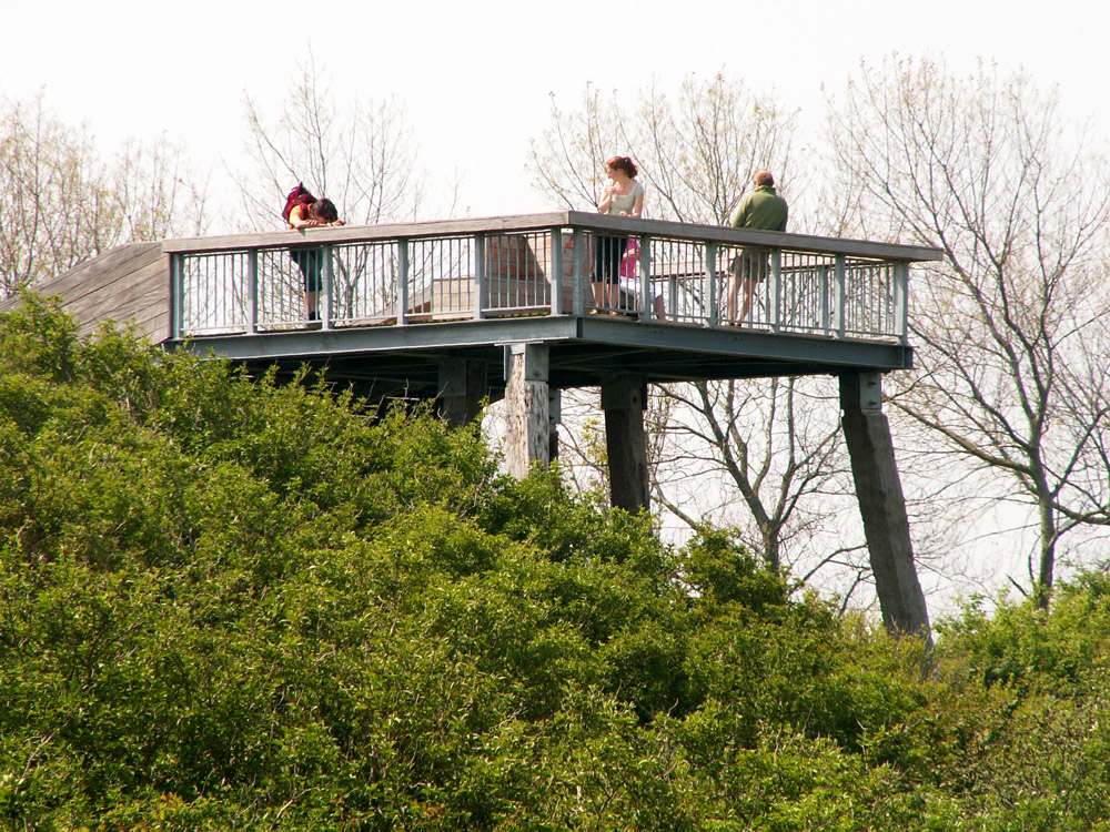 西泽兰弗拉芒整体海岸管理-4