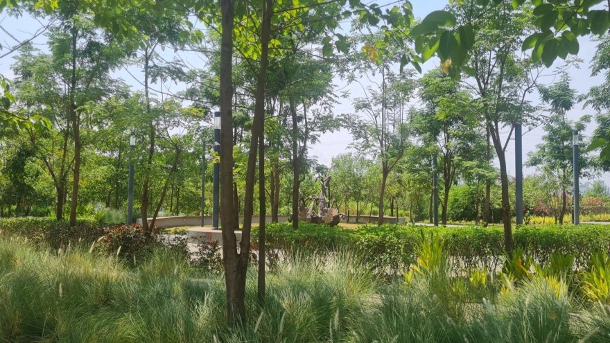 印度戈德雷吉河山中央绿地丨不详-9