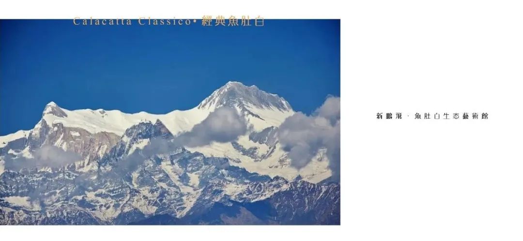 新鹏飞鱼肚白生态艺术厅——自然与功能的和谐统一-2