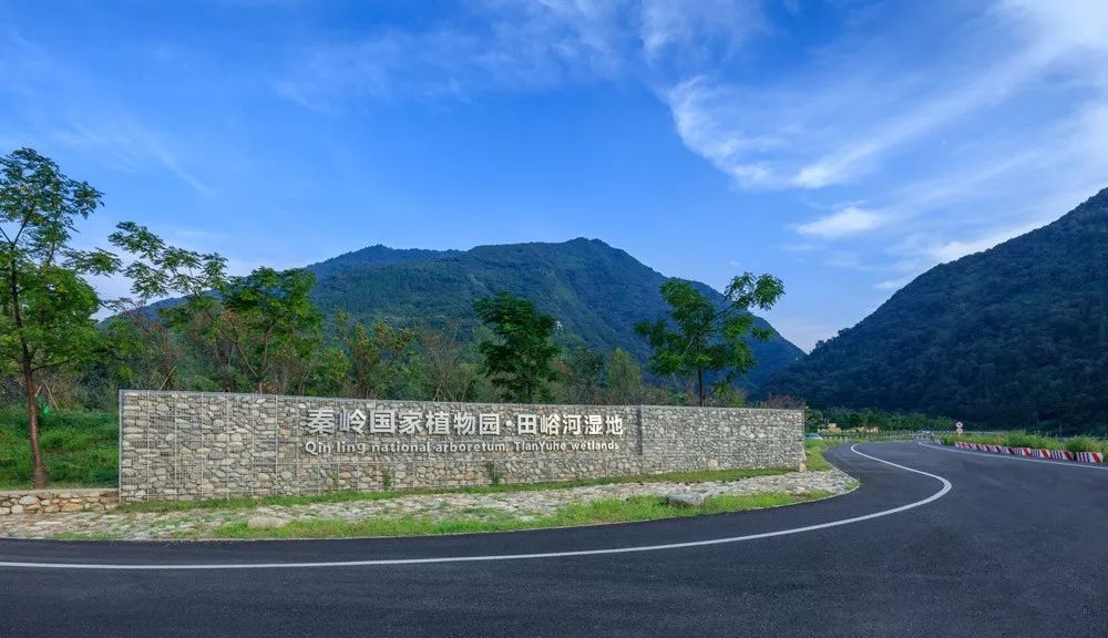 秦岭国家植物园田峪河湿地公园-1