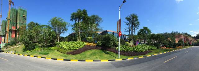 绿化设计中的地被放线手法与植物配置-67