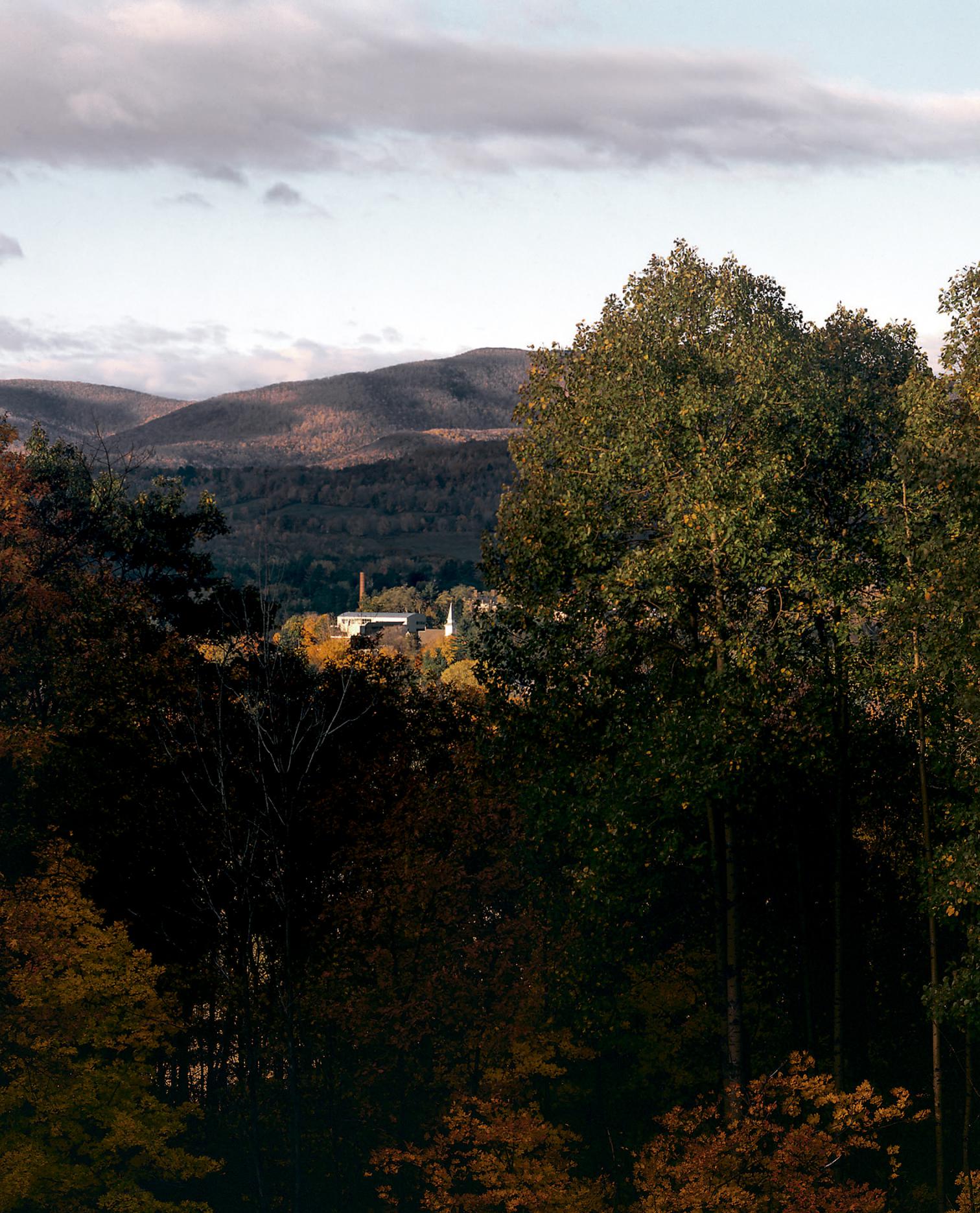 艺术学校的山水之境 | Williams College 艺术教学楼-11
