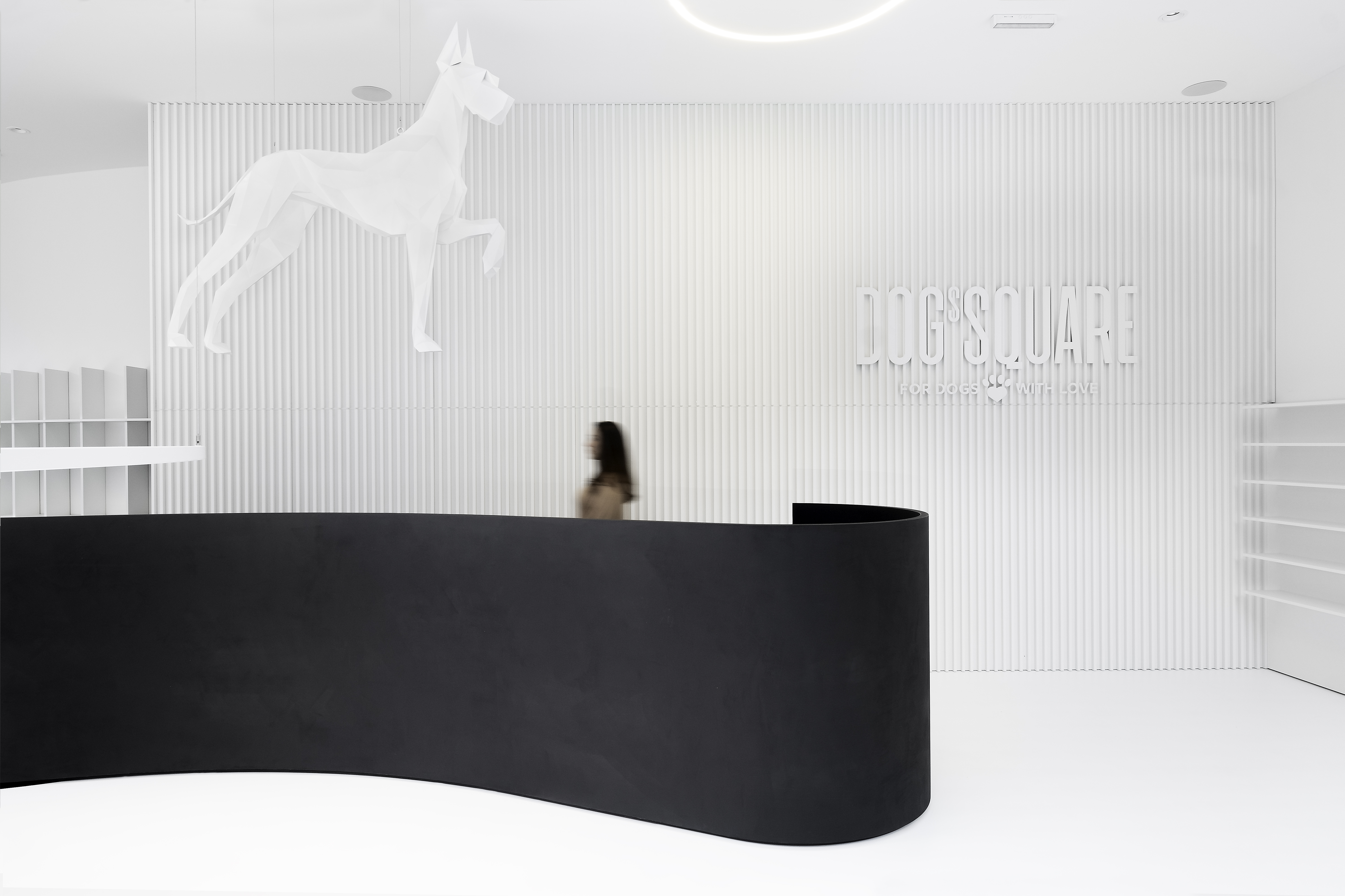 狗广场画廊丨斯洛伐克布拉迪斯拉发丨atelier 27.9-9