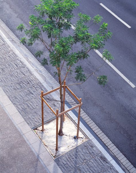 共和国大道，沙隆丨法国沙隆-13