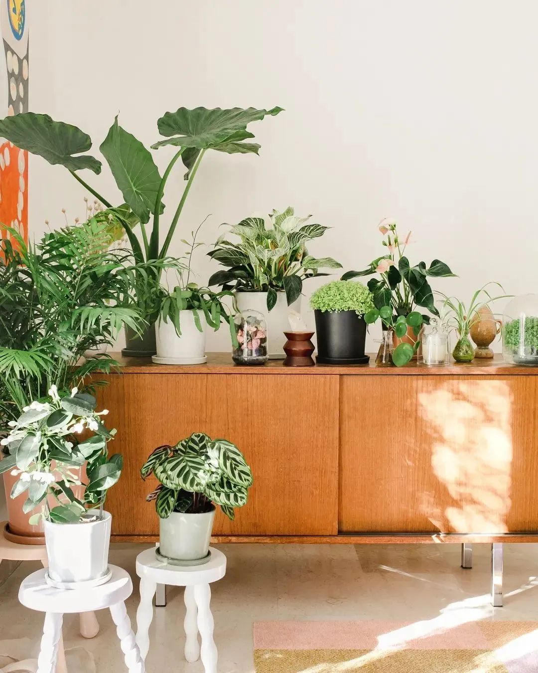 马卡龙色系的家丨法国丨Judith-6