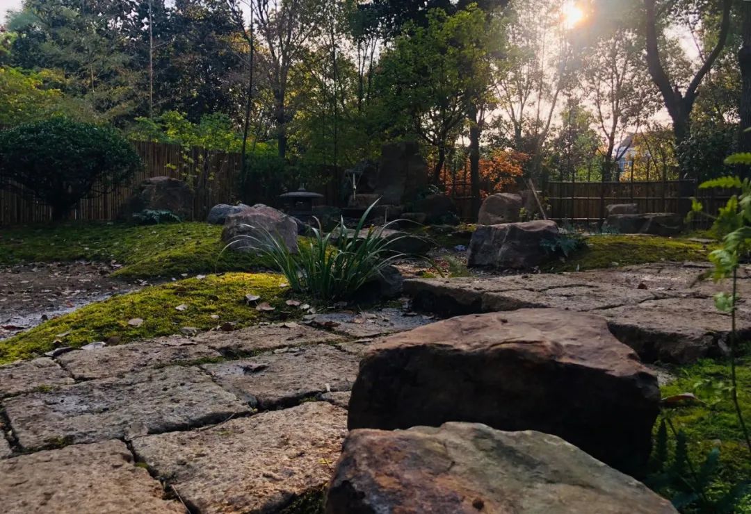 归田园居 | 懒人营造的禅意庭院-31