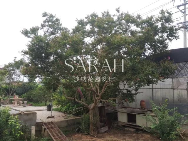 【花园荟】​带你见证0差评颜值酒店如何诞生-37