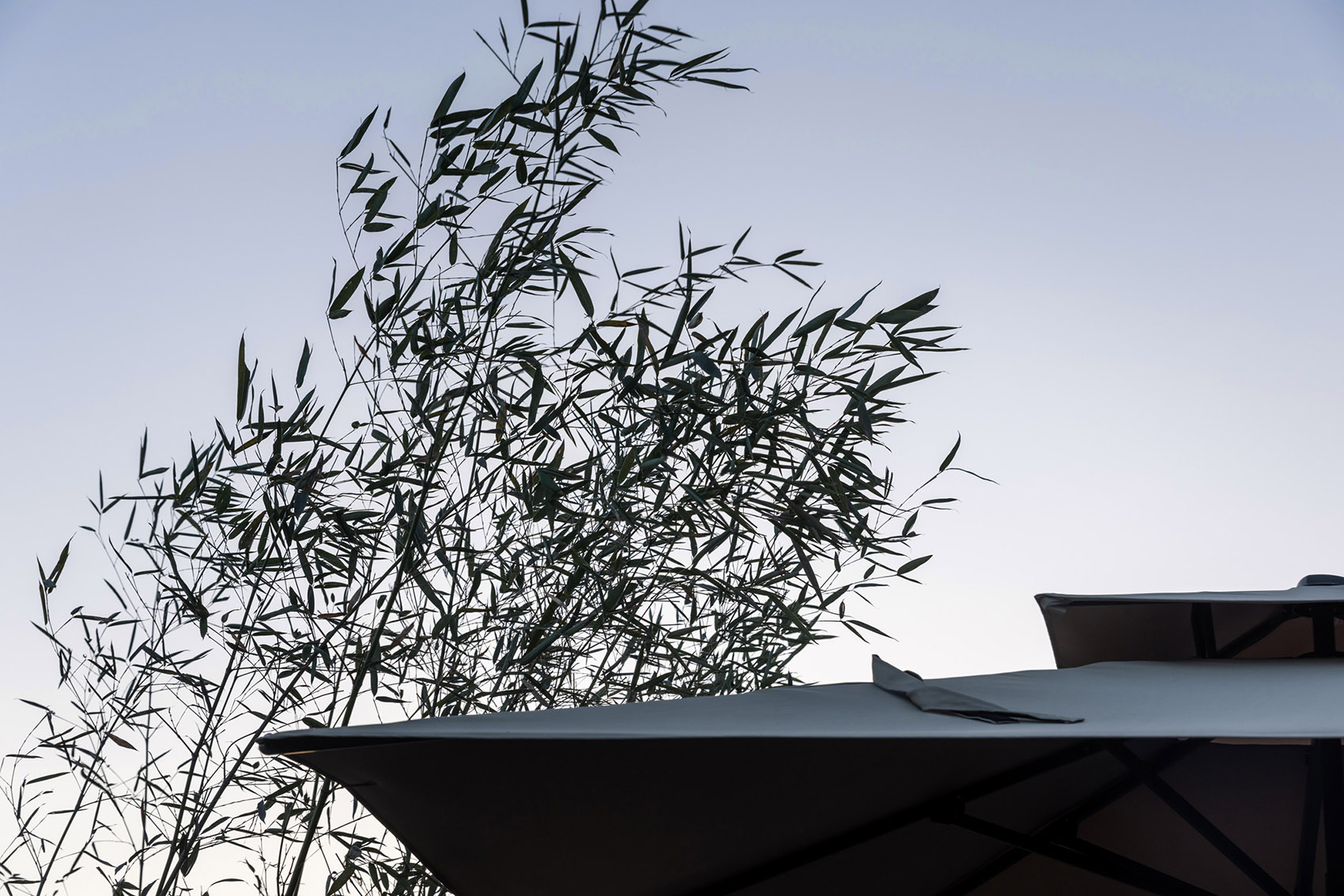 集泮·良食餐厅丨中国厦门丨壹壹文化,方式设计-14