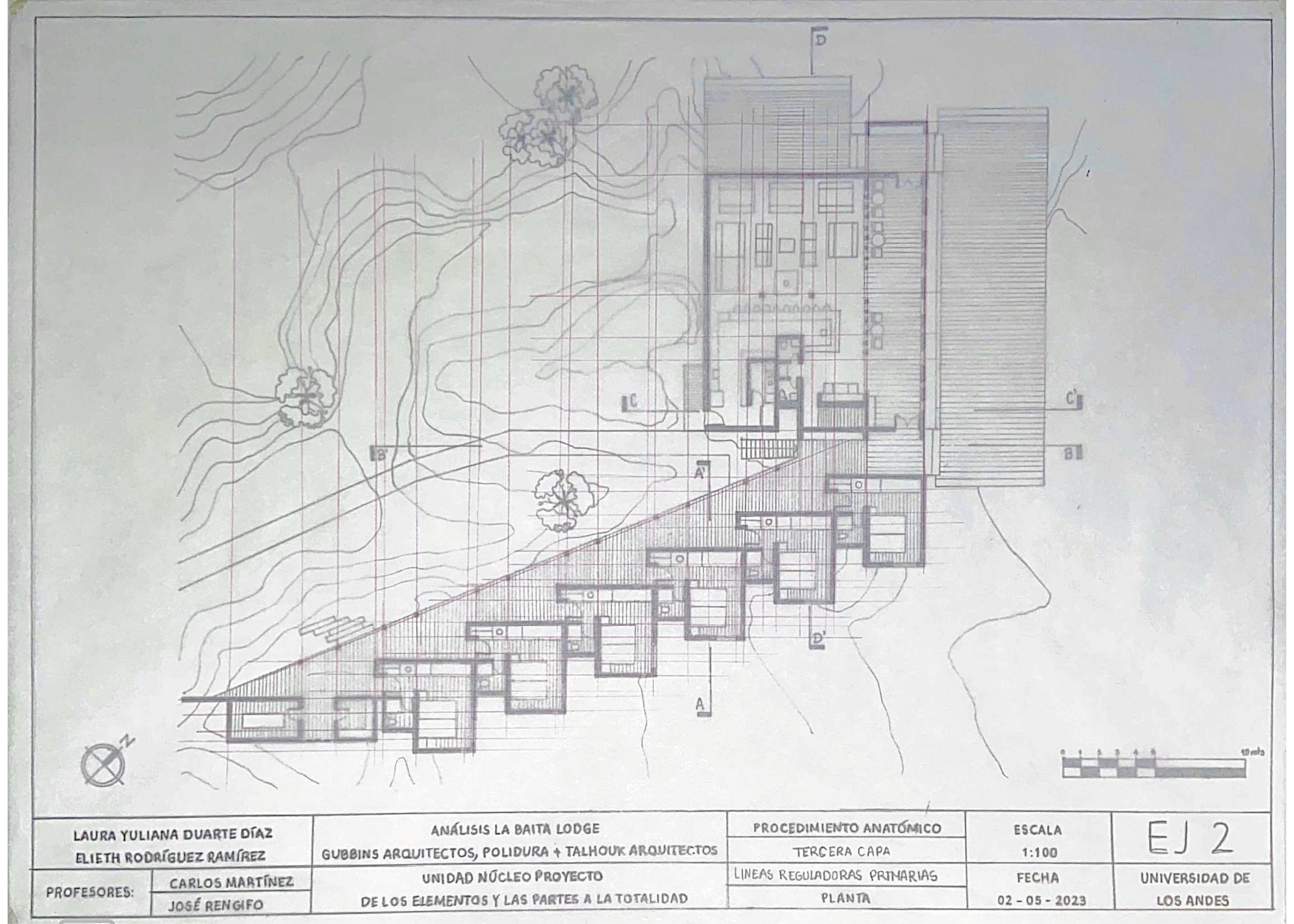 ARQT 2101 - Procedimiento anatómico 2-4