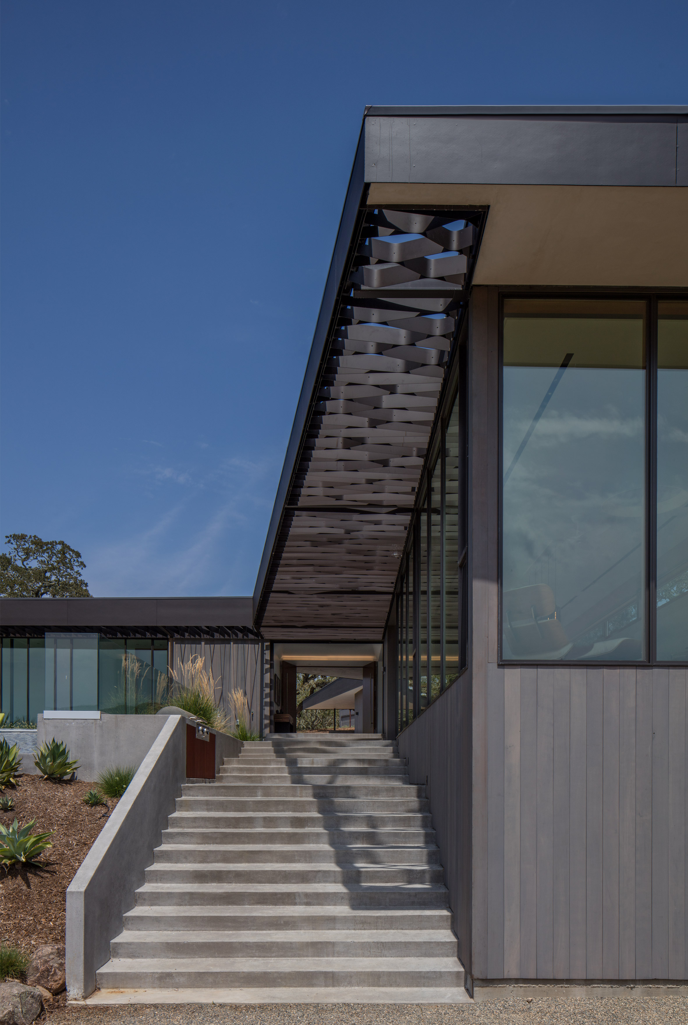 Tree lichen influences California house by Schwartz and Architecture-8