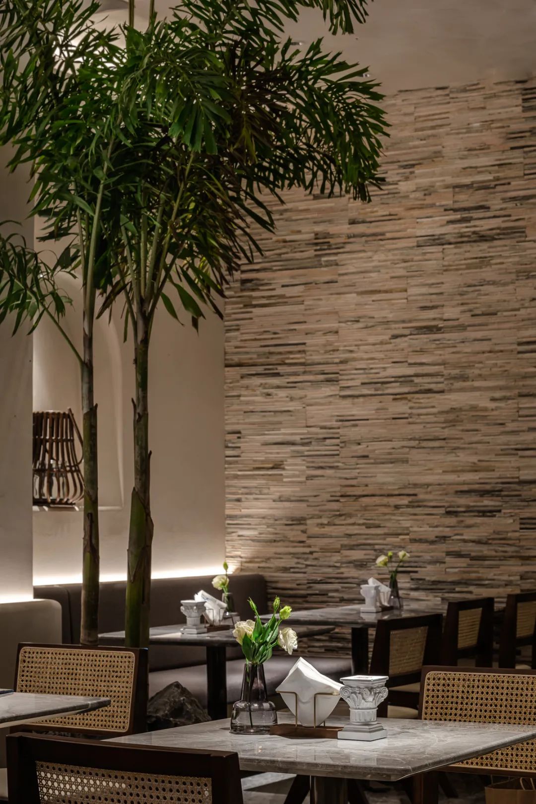 TARENTUM 萄木丨中国深圳丨RBD DESIGN BOX 瑞本设计-4