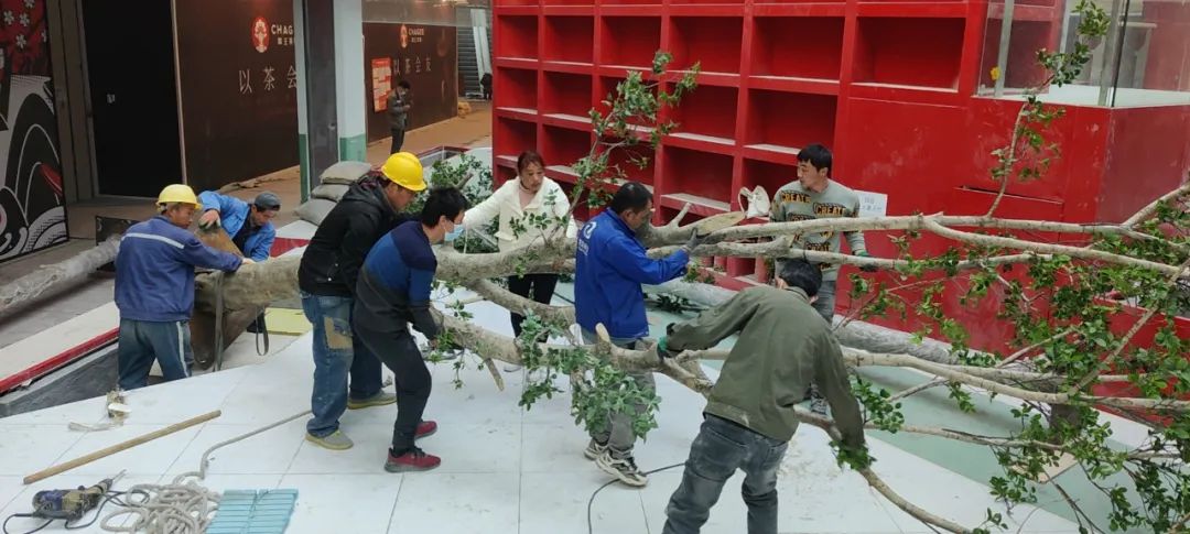 岛城丛林探险丨青岛万科未来城商业室内景观营造-52