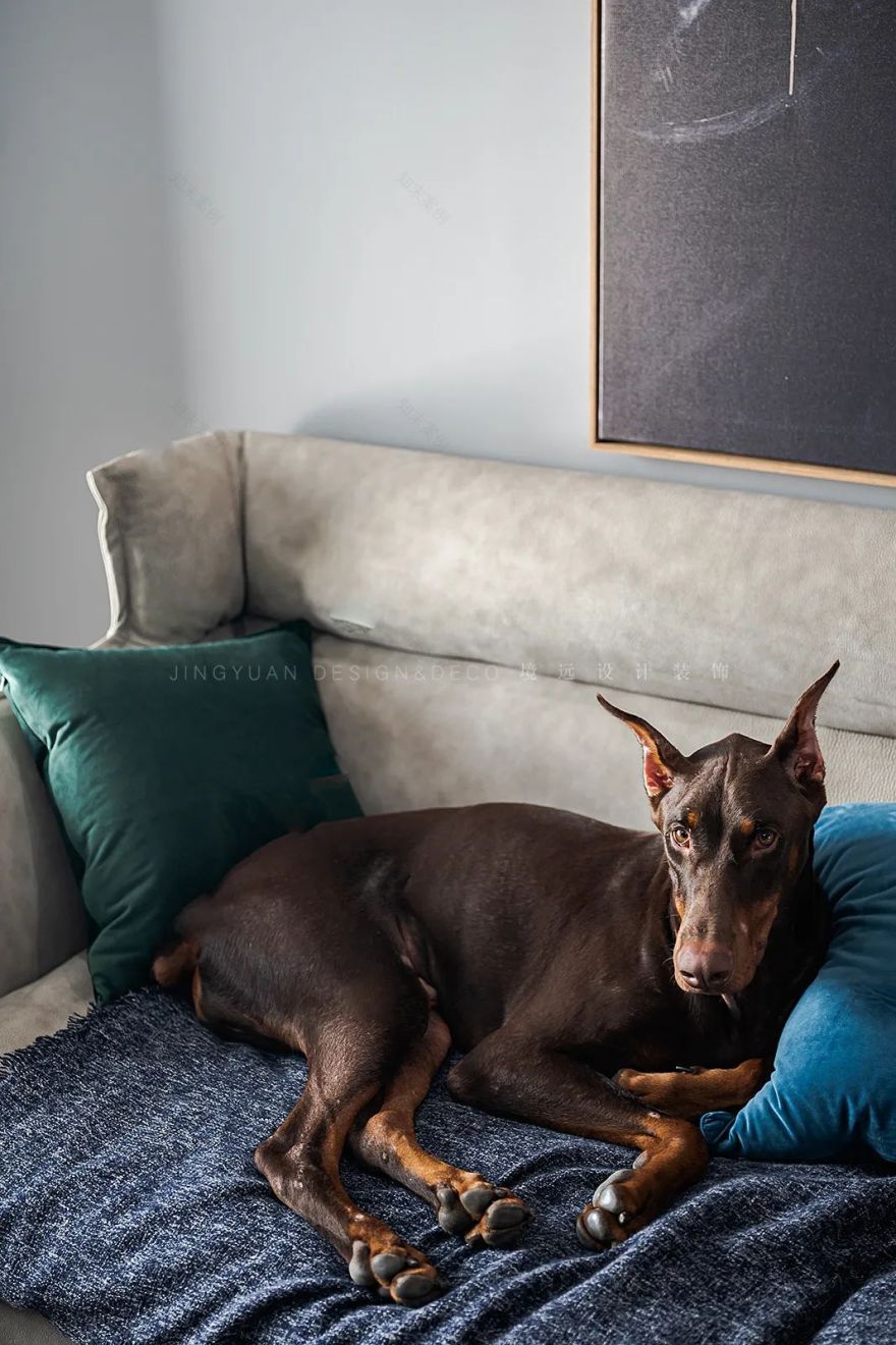 古北尚郡 80㎡现代简约一居室,个性自由的空间-34