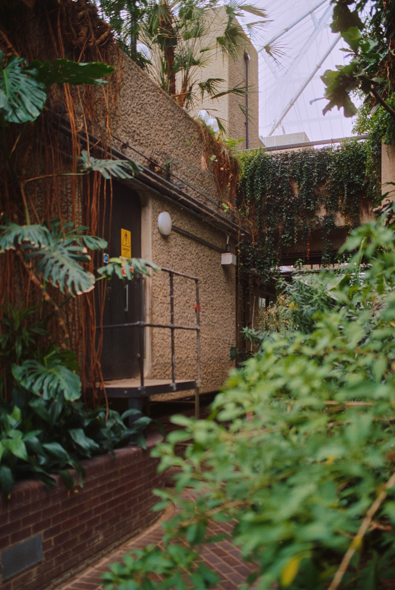 巴比肯温室丨英国伦敦-24