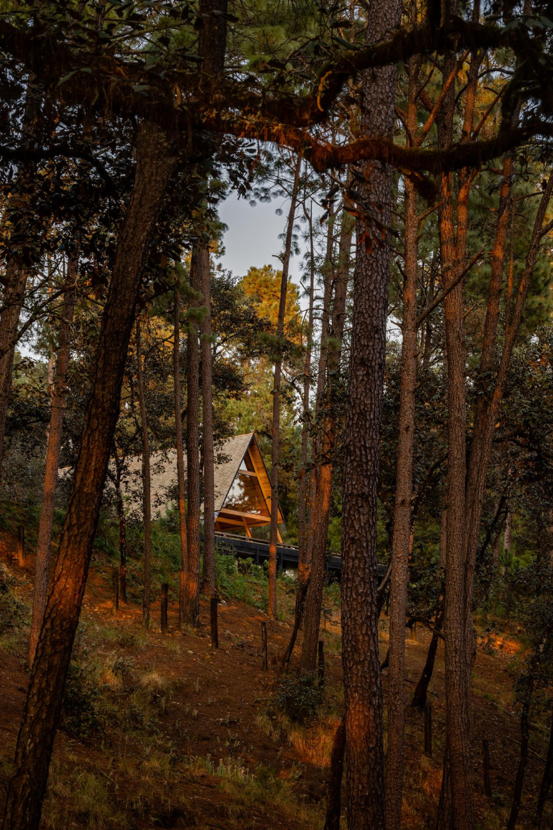 自然与永恒的融合 | 墨西哥建筑师Pablo Pérez Palacios的自然美学设计-9