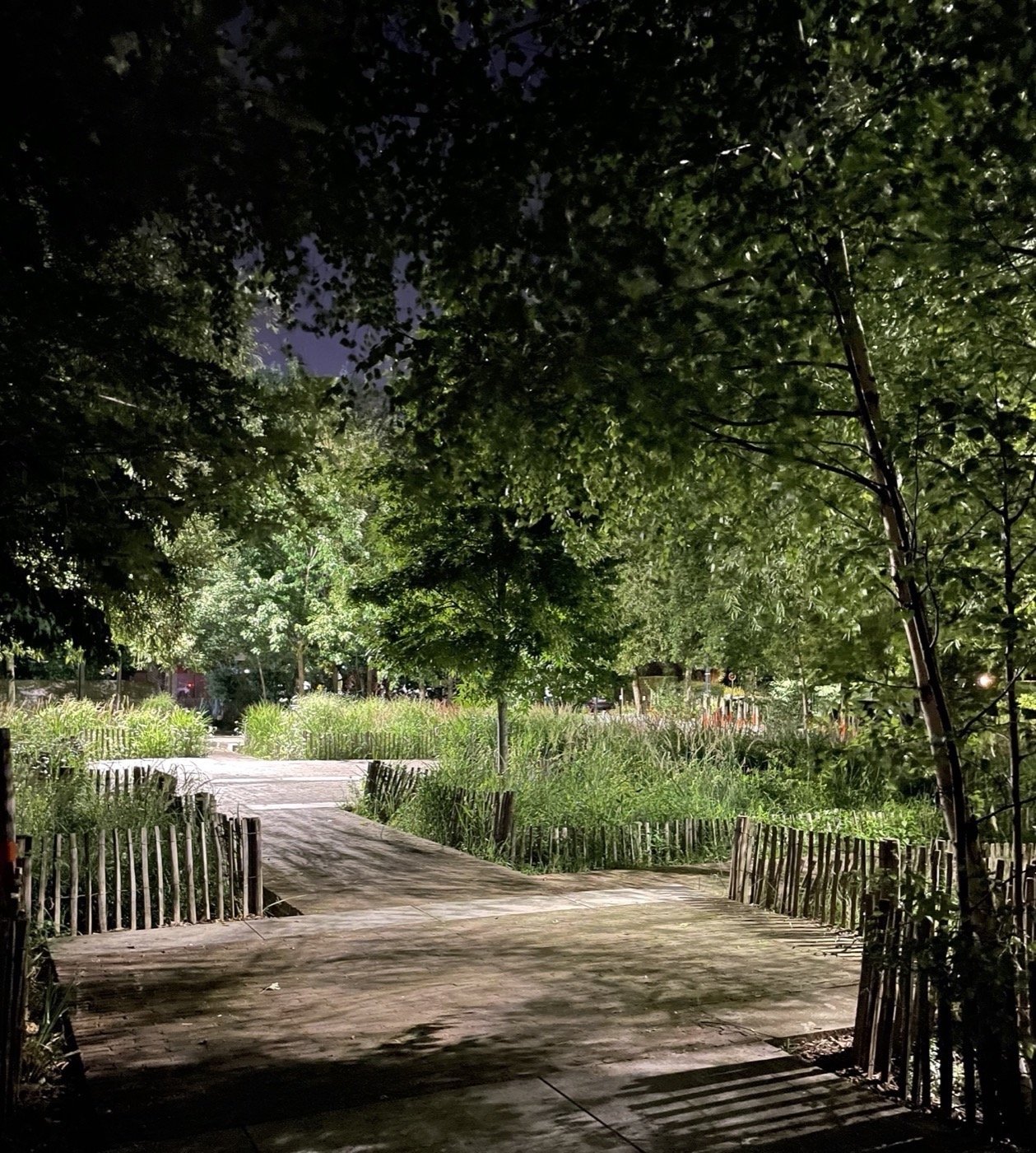 巴黎花园上的草地丨法国巴黎丨PRAXYS-22