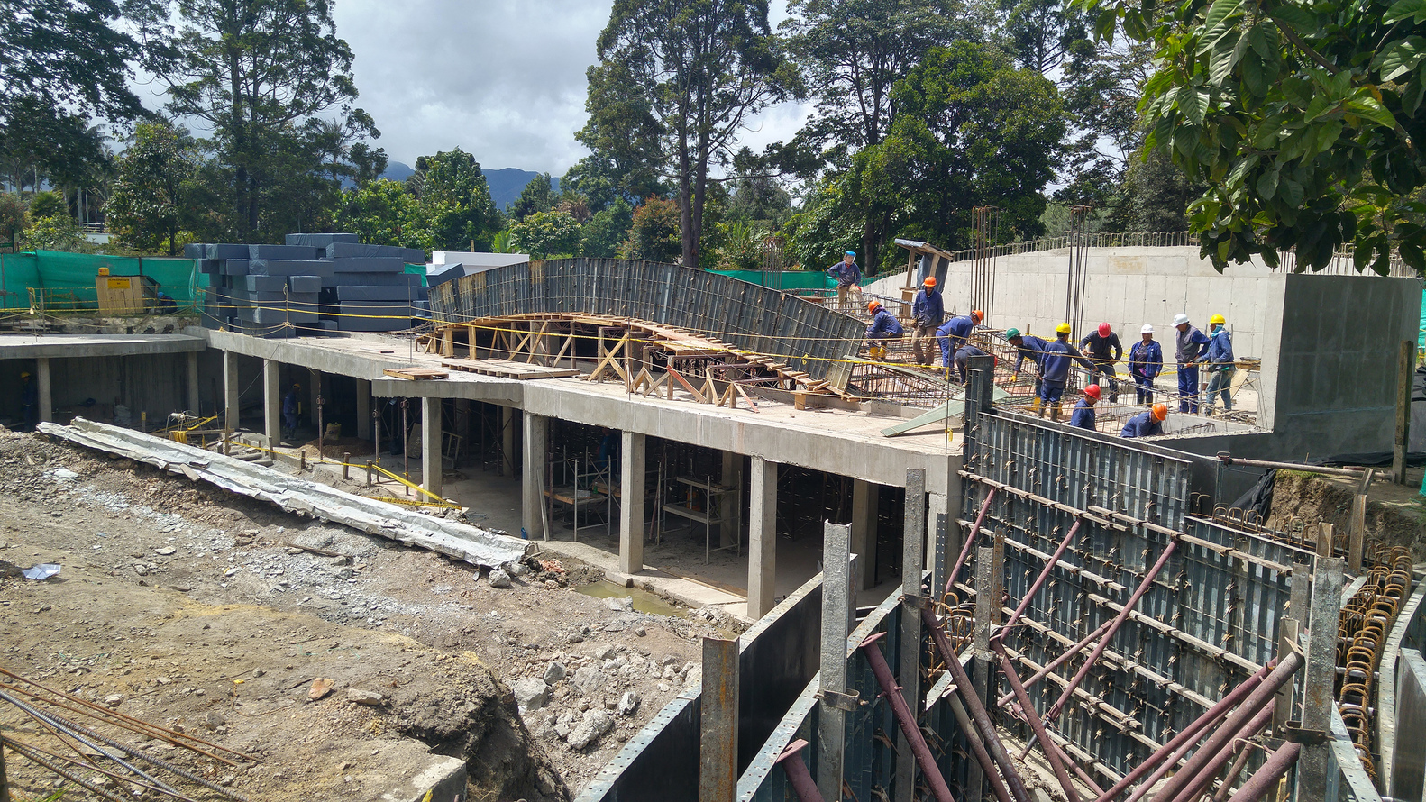 波哥大植物园植物标本馆-62