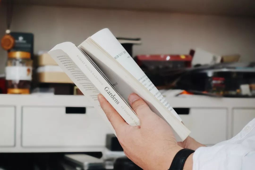 刘晓都的“秘密花园” | 都市实践办公室探秘-128