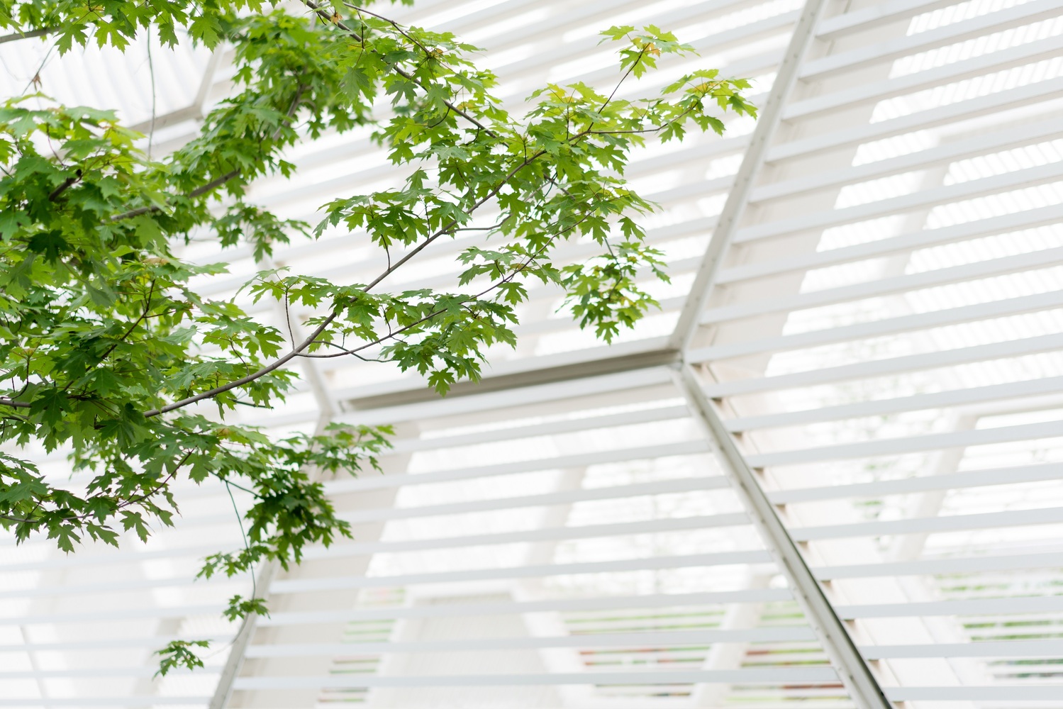 DEEJ Factory  5+design-83