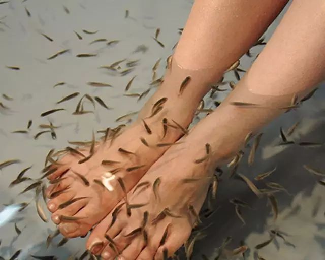 火山脚下的童话农场：阿苏农场-35