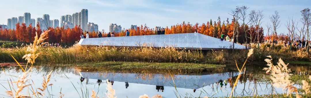 南昌市鱼尾洲湿地公园丨中国南昌丨北京土人城市规划设计股份有限公司-30