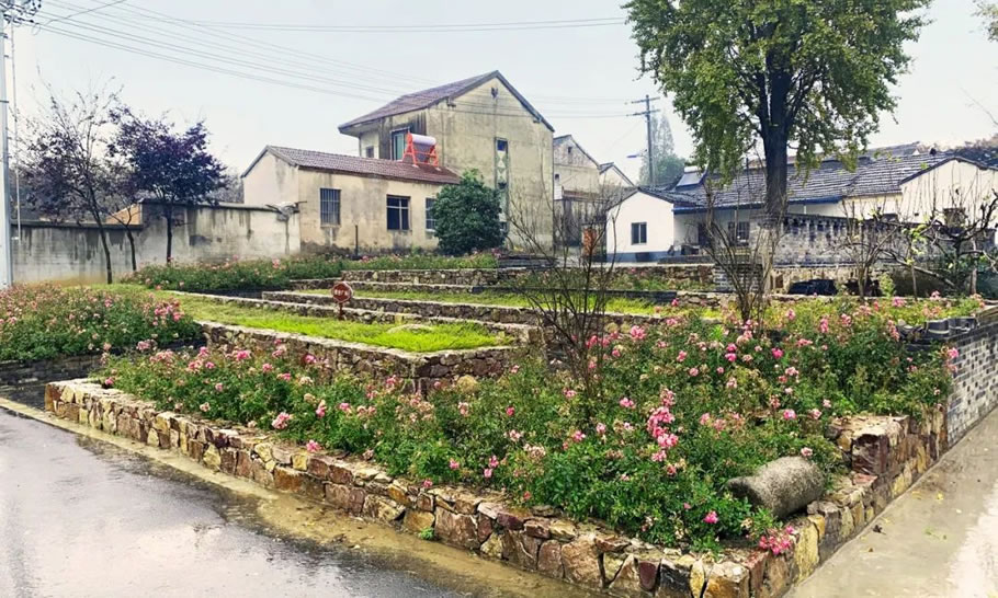 卧龙特色田园乡村规划丨中国镇江丨江苏省建筑设计研究院股份有限公司-18