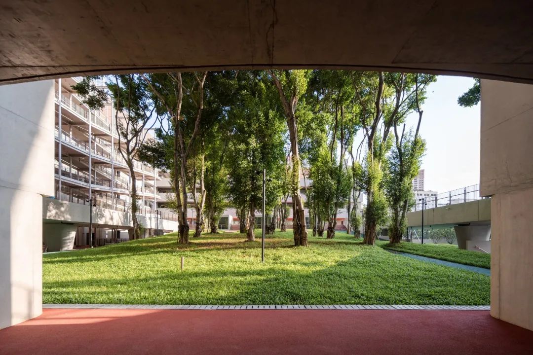 荔园外国语小学（景田）丨中国深圳丨直向建筑-81