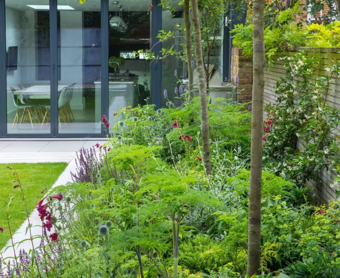 春日几何花园 | 伦敦伊斯灵顿城市后院的色彩与功能共生-15