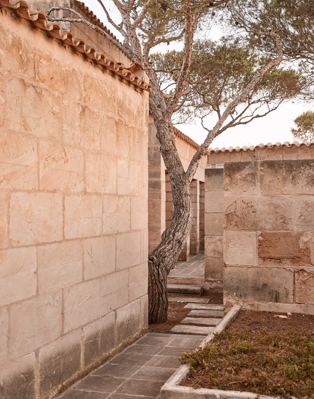 罐头清单或能利斯(具体含义需根据更多上下文来确定)丨西班牙丨约翰·伍重-28