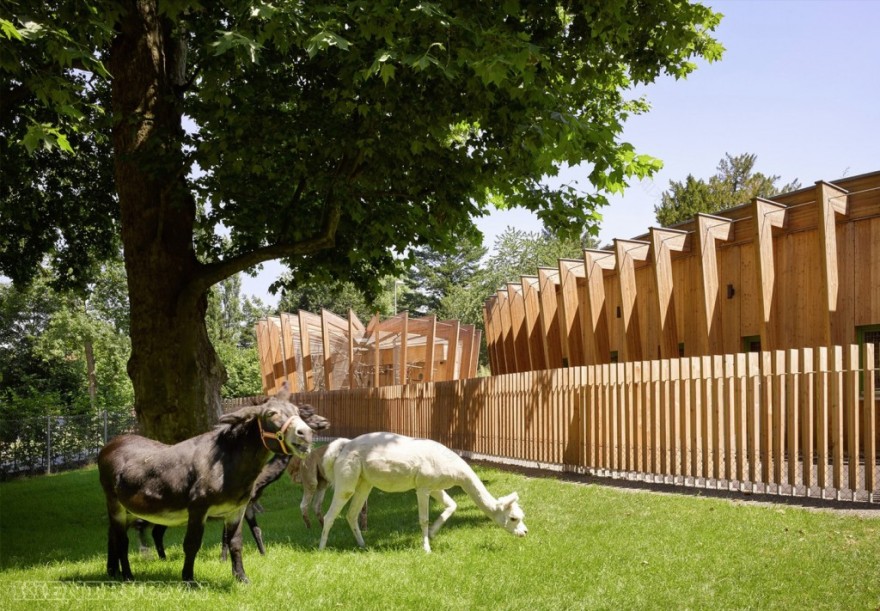 Öhringen动物园内木结构建筑工程丨德国-12